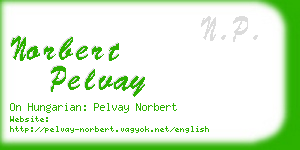 norbert pelvay business card